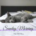 sunday morning