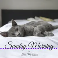 Sunday Morning — Steve McManus