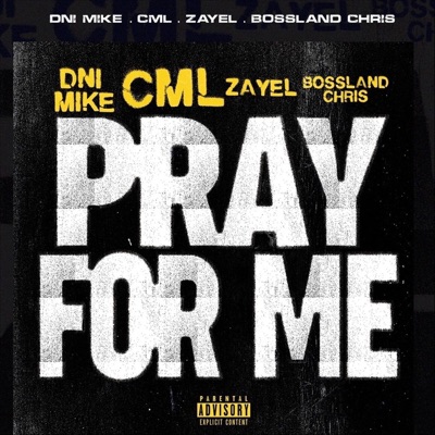 Pray for Me (feat. C.M.L, Zayel & Bossland Chris) - Single