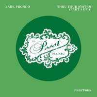 Thru Your System (Part 4 of 4) - EP - Jark Prongo