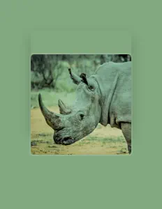 收听 Bill Valley Rhinos、观看音乐视频、阅读小传、查看巡演日期等 ！