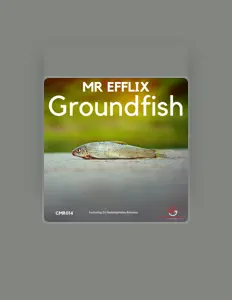 Mr. Efflix을(를) 듣고, 뮤직 비디오를 보고, 약력을 읽고, 투어 일정 등을 확인하세요!