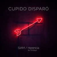 Cupido Disparó (feat. Herencia de Timbiqui) - Single - Siam