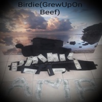 Birdie - Single - Amp1hunnit