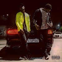 Stupido (Freestyle) - Single - Slings