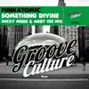 Something Divine (Micky More &amp; Andy Tee Mix)