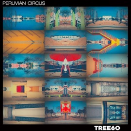 Peruvian Circus Tree60