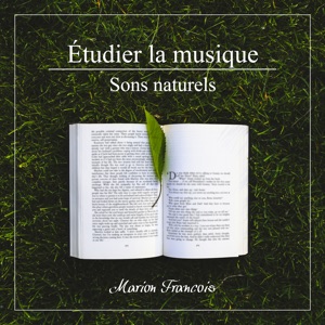 Étudier La Musique (Sons naturels)