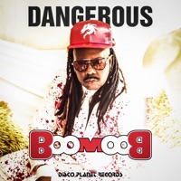 Boom Boom - Single - Dangerous