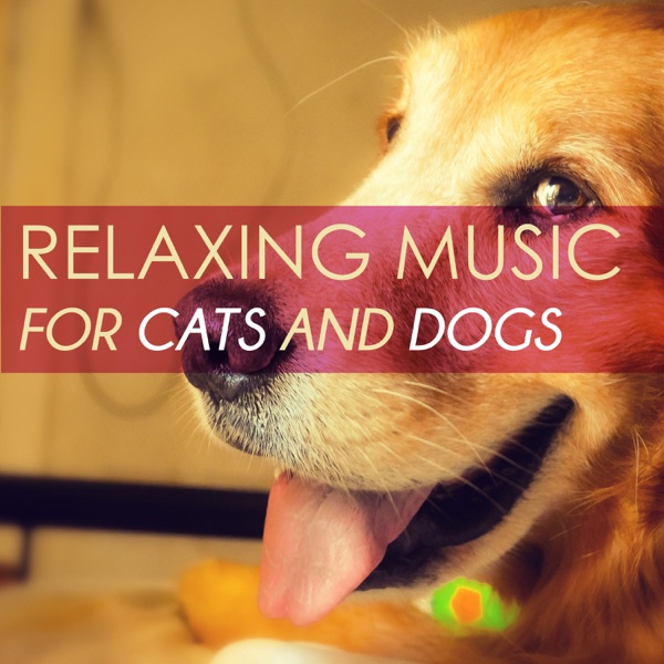 Relaxing Music for Cats and Dogs - Oriental Japanese Songs for Serenity and Harmony