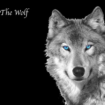 The Wolf - Single
