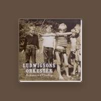 Ludwigsons Orkester