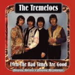 The Tremeloes - Here Comes My Baby