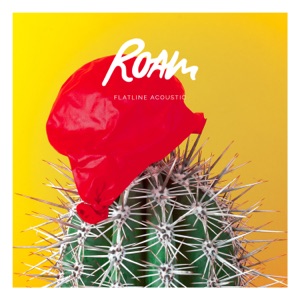 Flatline (Acoustic) - Single