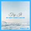 Try It (feat. Ray Wright, Edidon & Louis King) - Single