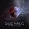 Destroy the Moon (Spanglish Version) - DAVID PAREJO lyrics