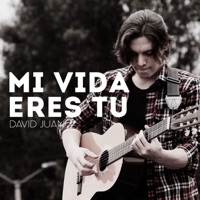 Mi Vida Eres Tú - Single - David Juan