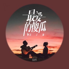 最爱的傻瓜 景子谦