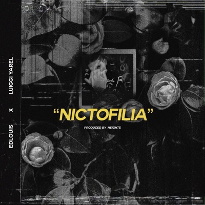 Nictofilia (feat. Luiggi Yarel) - Single