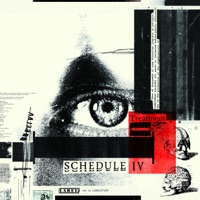 Schedule IV - Stray