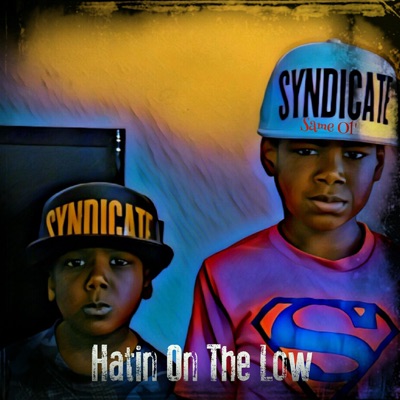 Hatin on the Low - Single