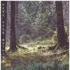 Single Tone cover art