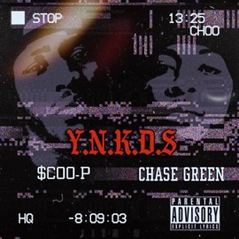 Y.N.K.D.S. Chase Green
