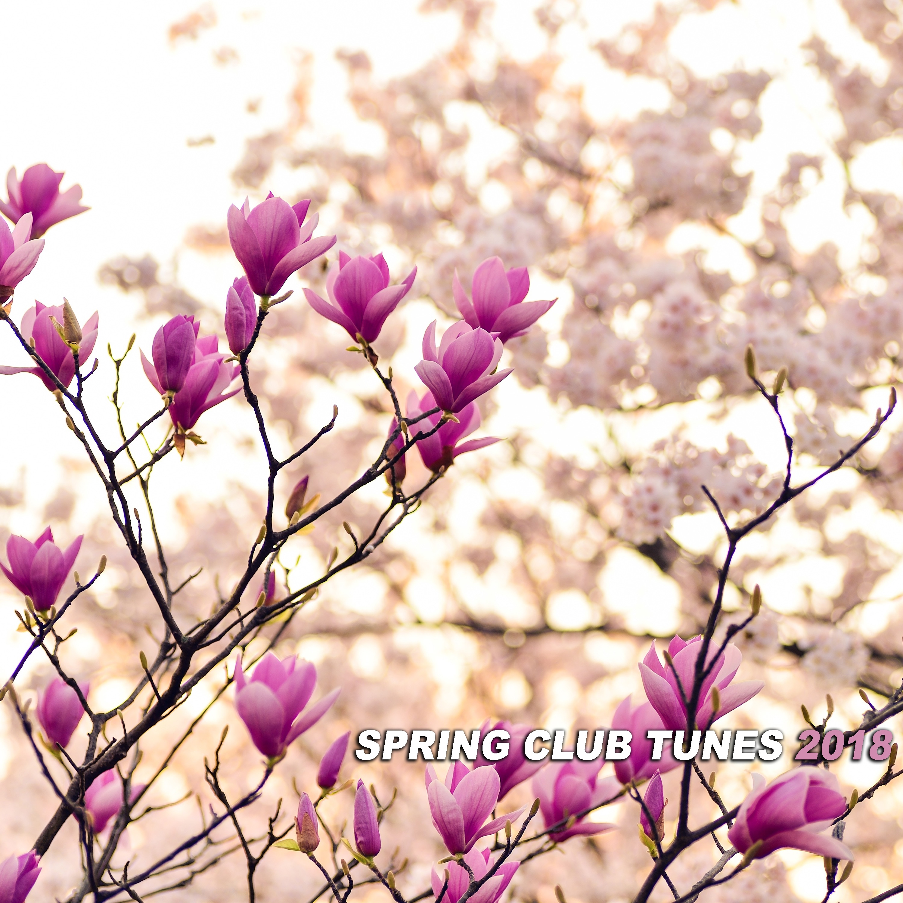 Spring Club Tunes 2018