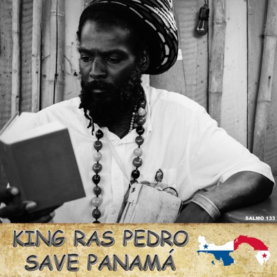 Save Panama - Single