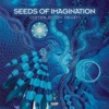 Seeds of Imagination