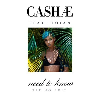 Need to Know (feat. Toian) [Tep No Edit] [Tep No Edit] - Single