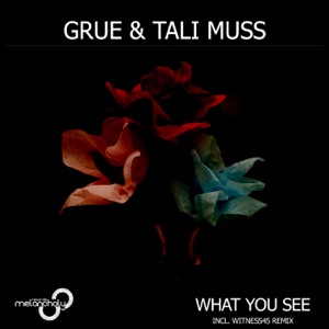 What You See - Single