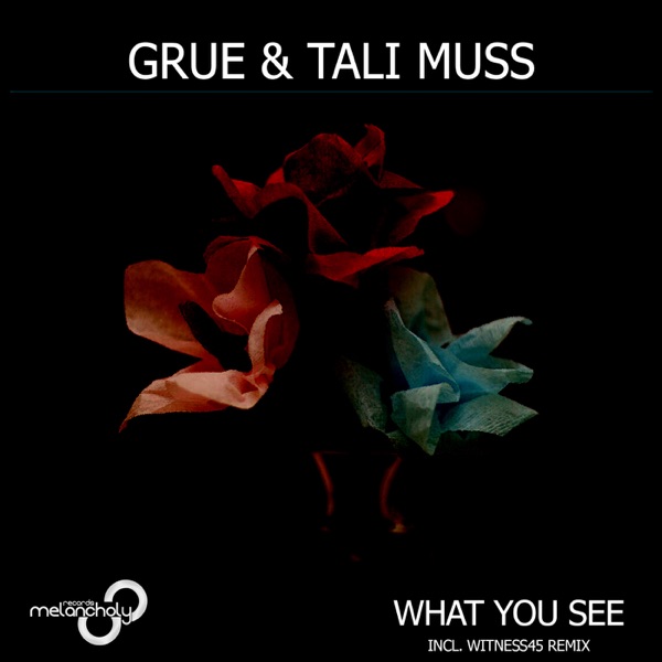 What You See - Single
