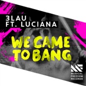 We Came To Bang (feat. Luciana) artwork