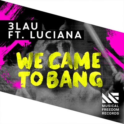 We Came To Bang (feat. Luciana) - Single