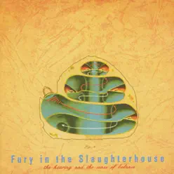 The Hearing and the Sense of Balance - Fury In The Slaughterhouse