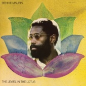 The Jewel In the Lotus artwork