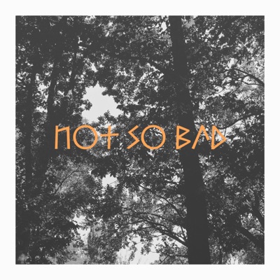Not So Bad - Single