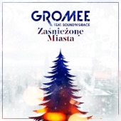 Zaśnieżone miasta (feat. Sound'n'Grace) artwork