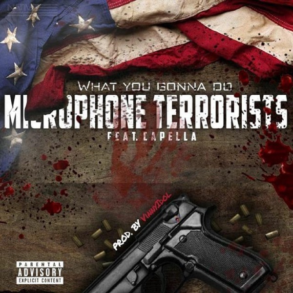 What You Gonna Do (feat. Capella) - Single - Microphone Terrorists