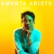 Wade - Amenta Abioto lyrics