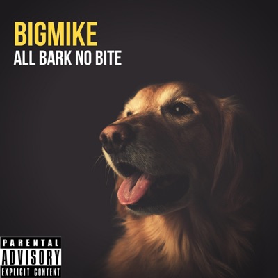 All Bark No Bite