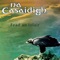 Thomas Burke (Ó Cearbhalláin) - Na Casaidigh lyrics