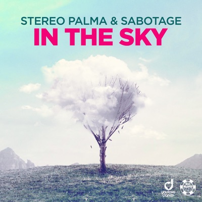 In the Sky (Remixes) - Single