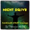 Night Drive - Dodge lyrics