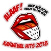 Alaaf! Mer Kölsche danze us der Reih - Karneval Hits 2018