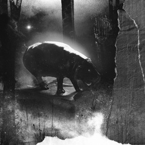 The Descent - Single