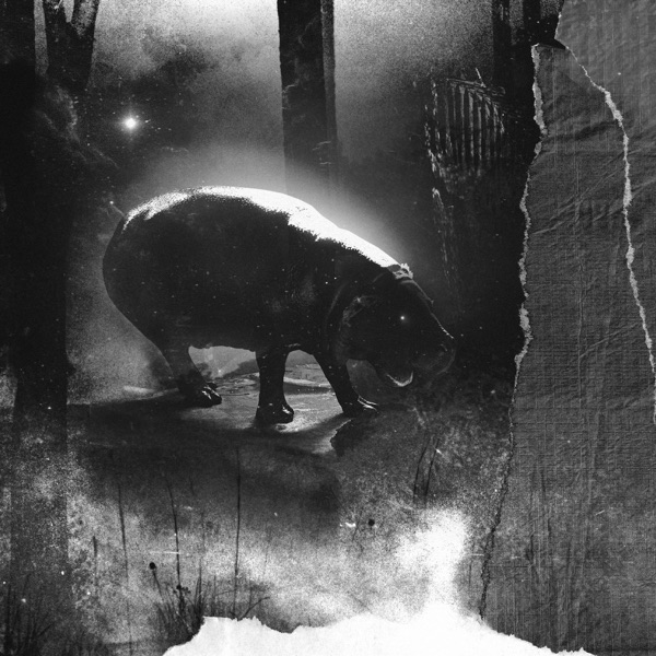 The Descent - Single