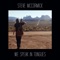 High Horses (feat. Heather Donavon) - Steve McCormick lyrics