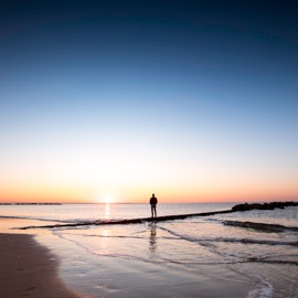 Back Where You Belong Stolar